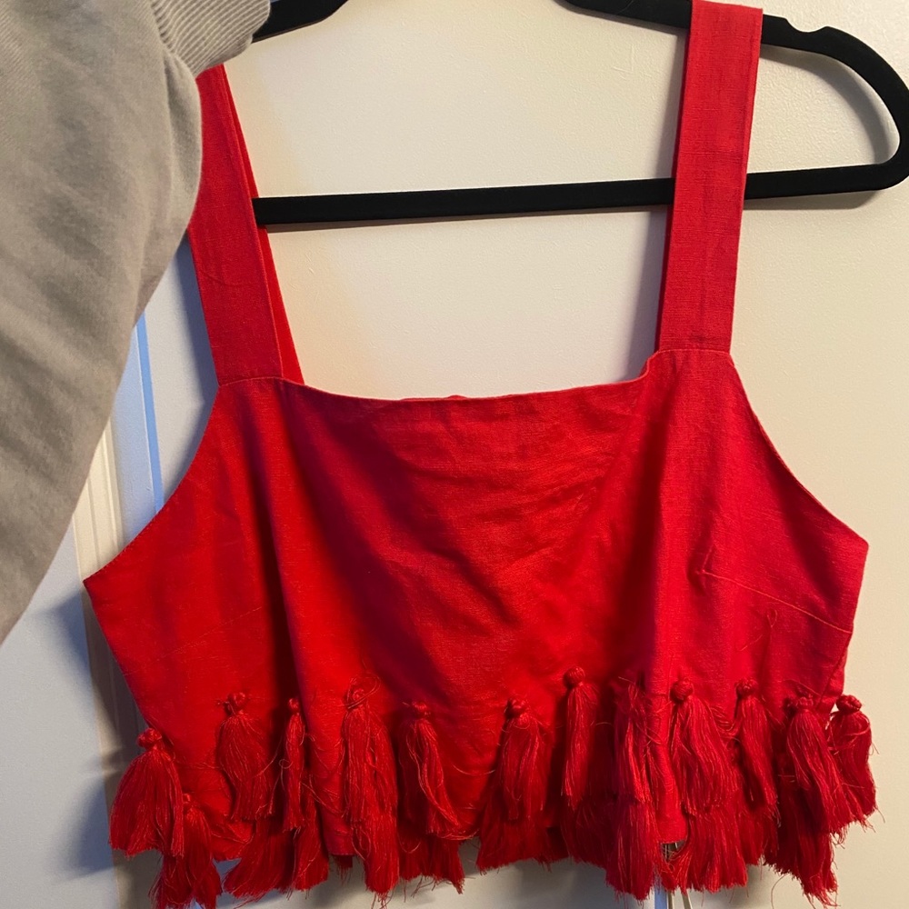 NET Tularosa crop top